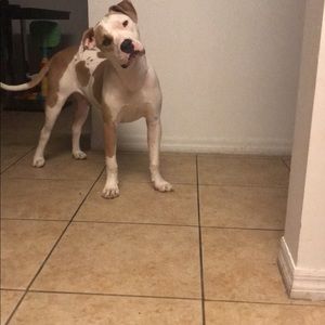 Meet your Posher, Jaquan